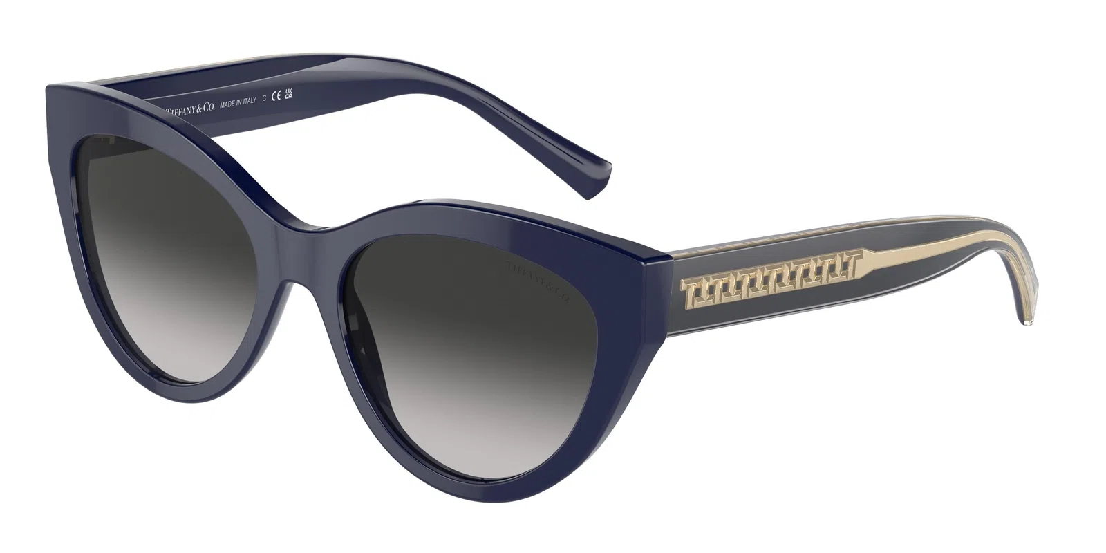 Tiffany 4220F Sunglasses - view 2